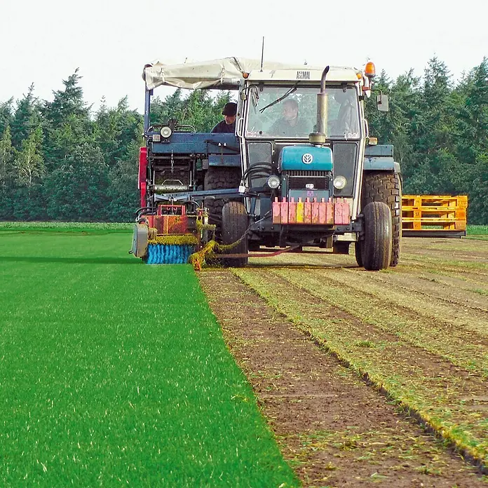 Piardino Rollrasen50 m² - 99 m², Sport- & Spielrasen, Gräser nach RSM 2.3 - Ein Traktor mit Anbaugerät erntet Rollrasen auf einem Feld, wobei der frische, grüne Rasen deutlich sichtbar ist.
