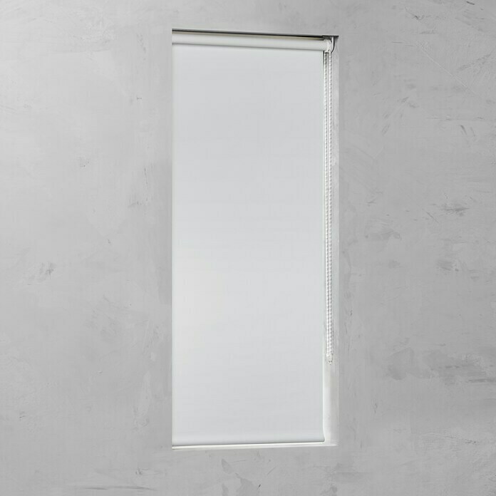 Rolo Basic (Š x V: 120 x 175 cm, Bijelo, Zamračenje)