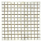 Mozaïektegel Quadrat Colonial XNT 49023 (30,5 x 30,5 cm, Mat)