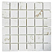 Mosaikfliese Quadrat Lymra XNT 59048 (30,5 x 30,5 cm, Beige/Weiß, Matt)