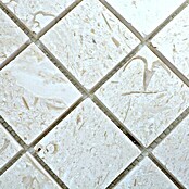 Mosaikfliese Quadrat Lymra XNT 59048 (30,5 x 30,5 cm, Beige/Weiß, Matt)