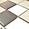 Mosaikfliese Quadrat Mix CD 218 (30,6 x 30,6 cm, Beige/Braun, Matt)