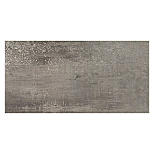 Keramische tegel Canyon (29,3 x 59,3 cm, Zwart, Mat)