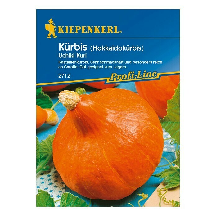 Kiepenkerl Profi-Line Kürbis Uchiki Kuri  (Cucurbita moschata, Inhalt ausreichend für ca.: 5 Pflanzen)