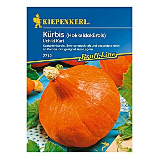 Kiepenkerl Profi-Line Gemüsesamen Kürbis Uchiki Kuri (Cucurbita moschata, Erntezeit: September)