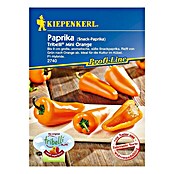 PAPR. TRIBELLI MINI F1 ORANGE E499531