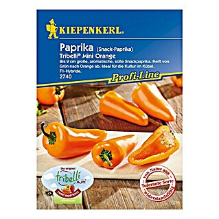 Kiepenkerl Profi-Line Gemüsesamen Snackpaprika (Capsicum annuum, Erntezeit: Juli)