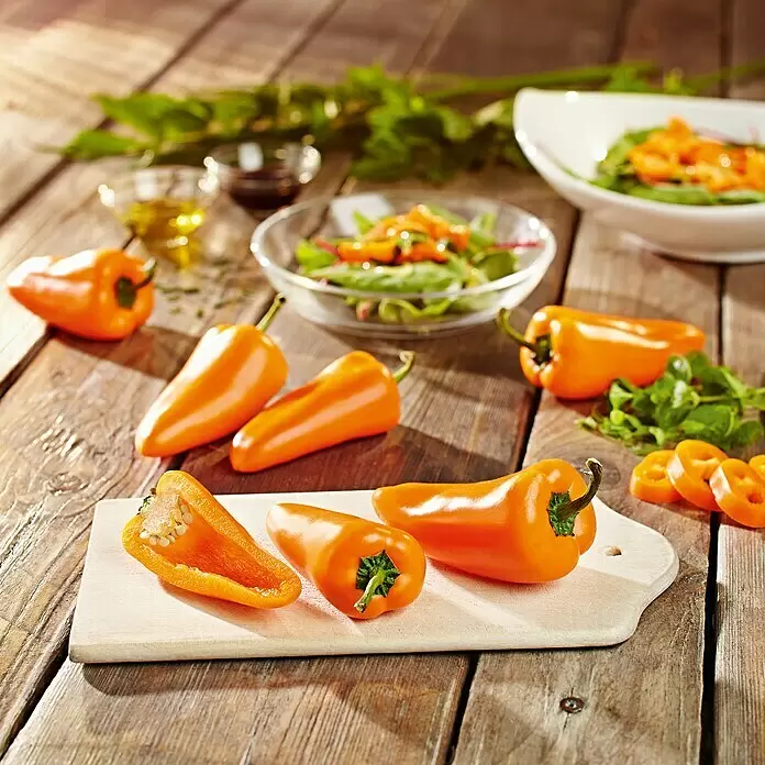 Kiepenkerl Profi-Line Gemüsesamen Snackpaprika - Capsicum annuum, Erntezeit: Juli - Stimmungsaufnahme