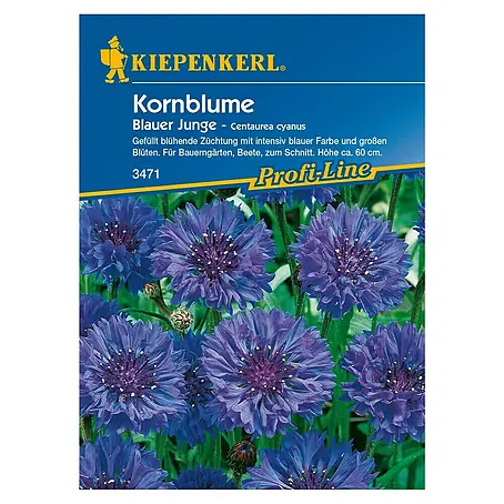 Kiepenkerl Profi-Line Blumensamen Kornblume
