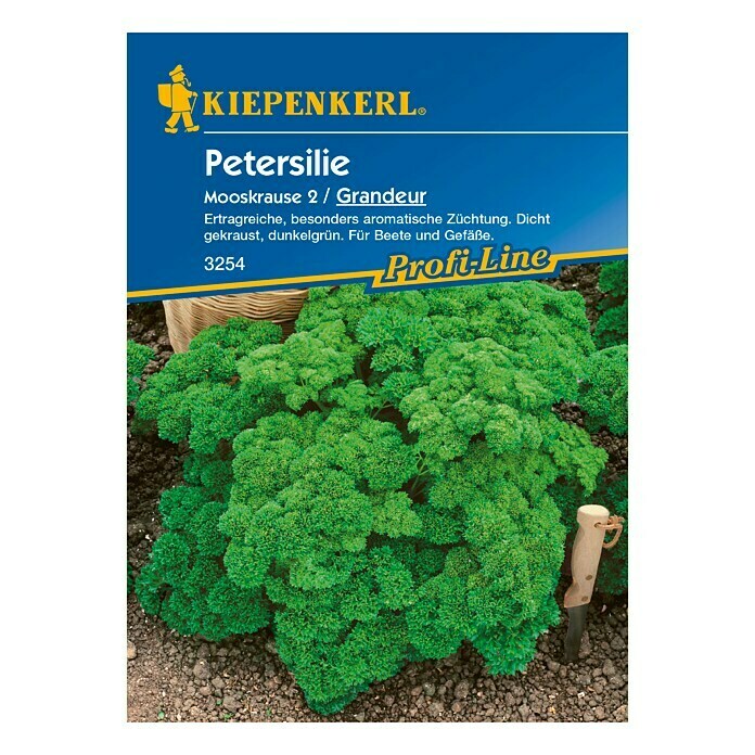 Kiepenkerl Profi-Line Petersilie Grandeur (Inhalt ausreichend für ca.: 350 Pflanzen)