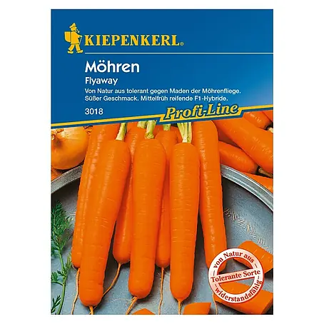 Kiepenkerl Profi-Line Gemüsesamen Möhre Flyaway