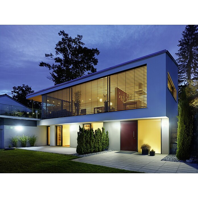 Steinel Sensor-LED-Strahler XLED Home Curved (Anthrazit, Leistung: 9 W, Warmweiß)