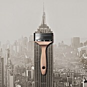 Schöner Wohnen Wandfarbe Trendfarbe (Manhattan, 1 l, Matt)