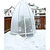 Šator za zaštitu od hladnoće za biljke  (Ø x V: 1,4 x 1,8 m, Debljina folije: 150 g/m²) | BAUHAUS