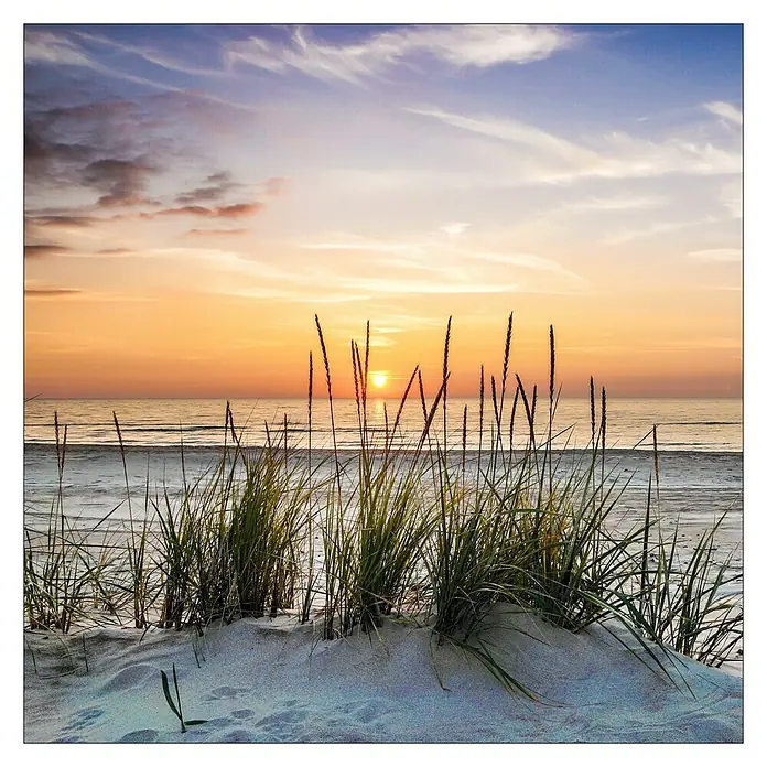ProArt Maritime Glasbild - Lonely Dune, B x H: 50 x 50 cm - Das Bild zeigt einen friedlichen Strand bei Sonnenuntergang, mit Gräsern im Vordergrund, die eine ruhige und natürliche Atmosphäre schaffen.