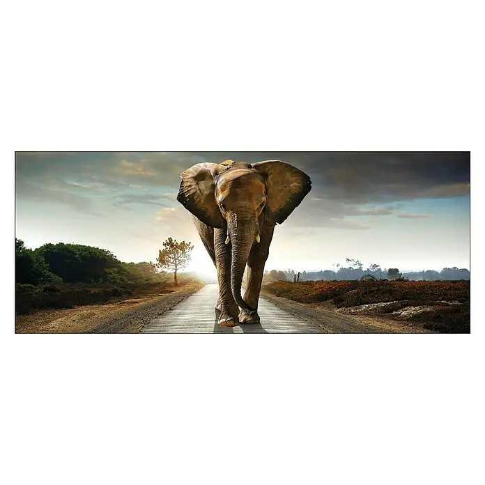 Glasbild - Elephant, B x H: 125 x 50 cm - Ein majestätischer Elefant, der selbstbewusst auf einer asphaltierten Straße inmitten einer weiten Landschaft entlanggeht.