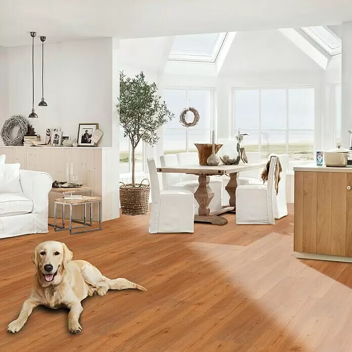 Vinylbodenmuster Strong SPC Bucura - 280 x 160 x 3,8 mm, Landhausdiele - Stimmungsaufnahme