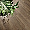 Vinylboden (1.524 x 228 x 6,5 mm, Landhausdiele)