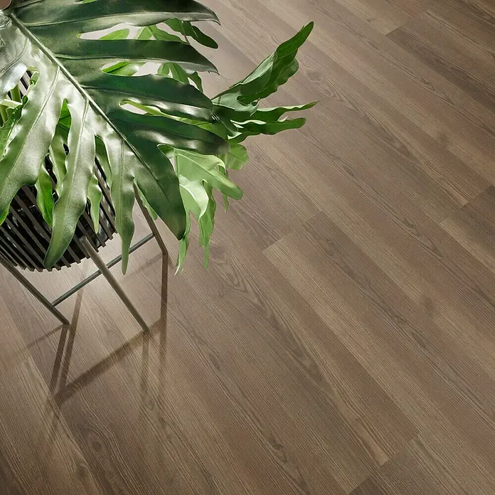 Vinylbodenmuster Strong SPC Hainich - 280 x 160 x 3,8 mm, Landhausdiele - Nahaufnahme von neuen, robusten und modernen Holzböden, die mit einer Topfpflanze für einen gemütlichen Look kombiniert werden.