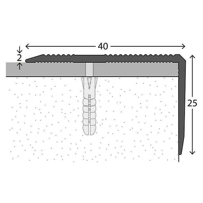 LOGOCLIC Treppenkantenprofil (Edelstahl matt, 1 m x 40 mm x 25 mm, Montageart: Schrauben)
