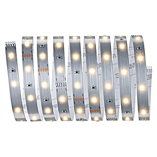 Paulmann MaxLED 250 LED-Band 250 (Länge: 2,5 m, Lichtfarbe: Warmweiß, 10 W, 750 lm)