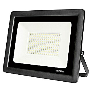 Proyector LED Eko (100 W, L x An x Al: 27 x 3 x 21 cm, Negro, Blanco neutro)