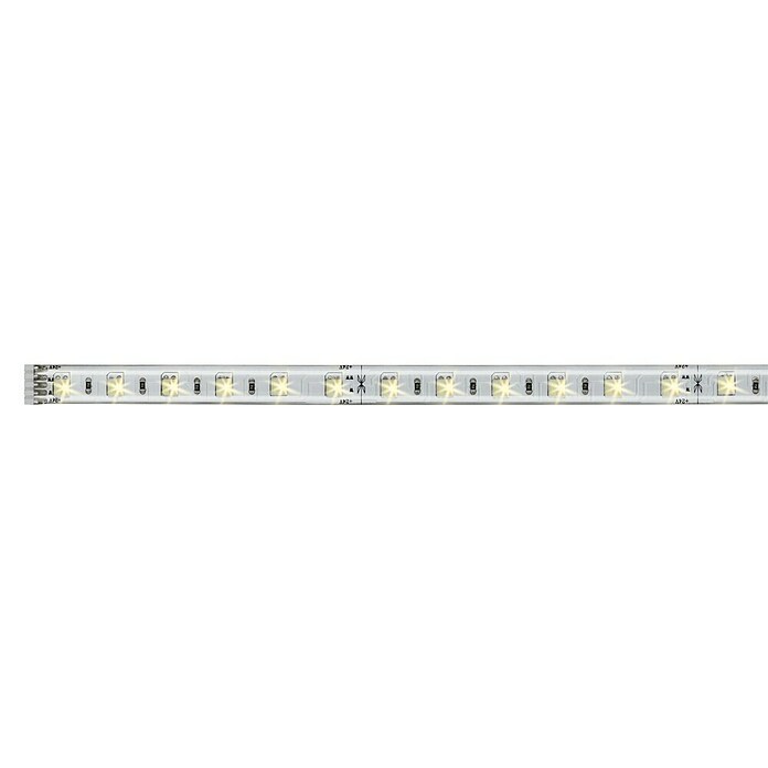 Paulmann 79863 Strip LED MaxLED 250 5m Tunable White IP20 Incl. 1