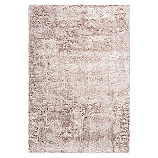 Kayoom Hochflorteppich Tender (Puderrosa, 170 x 120 cm, 85% Acrylic, 15% Polyester)