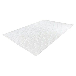 Kayoom Hochflorteppich Vivica 225 (Weiß, 250 x 80 cm, 100 % Polyester)