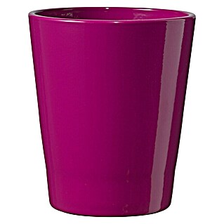 Soendgen Keramik Tegla za orhideju Merina Candy (Vanjska dimenzija (ø x V): 13 x 15 cm, Keramika, Kupina, Sjaj)