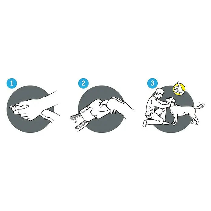 Dremel Krallenpflege-Set 7020 - 6 -tlg. - Anleitung zum Krallenschneiden beim Hund. Zuerst die Kralle überprüfen, dann schneiden und danach den Hund belohnen.