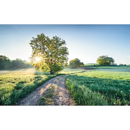 Komar Stefan Hefele Edition 1 Fototapete A New Day in Paradise