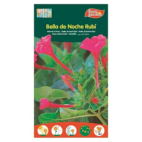 Euro Garden  Semillas de flores Bella de Noche Rubí