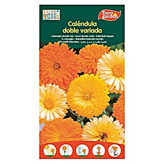 Euro Garden Semillas de flores Caléndula Doble variada (Época de floración: Junio)