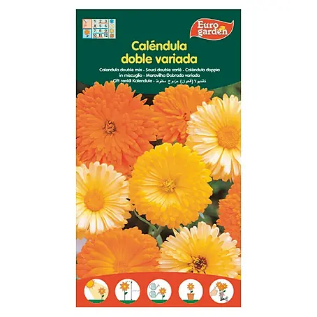 Euro Garden  Semillas de flores Caléndula Doble variada