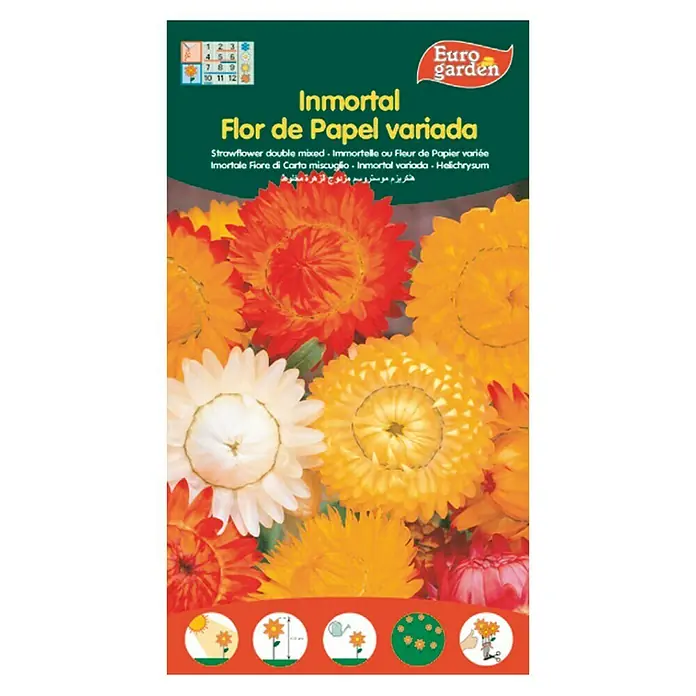Euro Garden Semillas de flores Inmortal - Época de floración: Junio - Paquete de semillas con una mezcla de flores de papel dobles 'Immortal Flor de Papel Variada' de Euro Garden con flores coloridas.