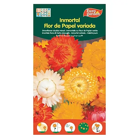 Euro Garden  Semillas de flores Inmortal