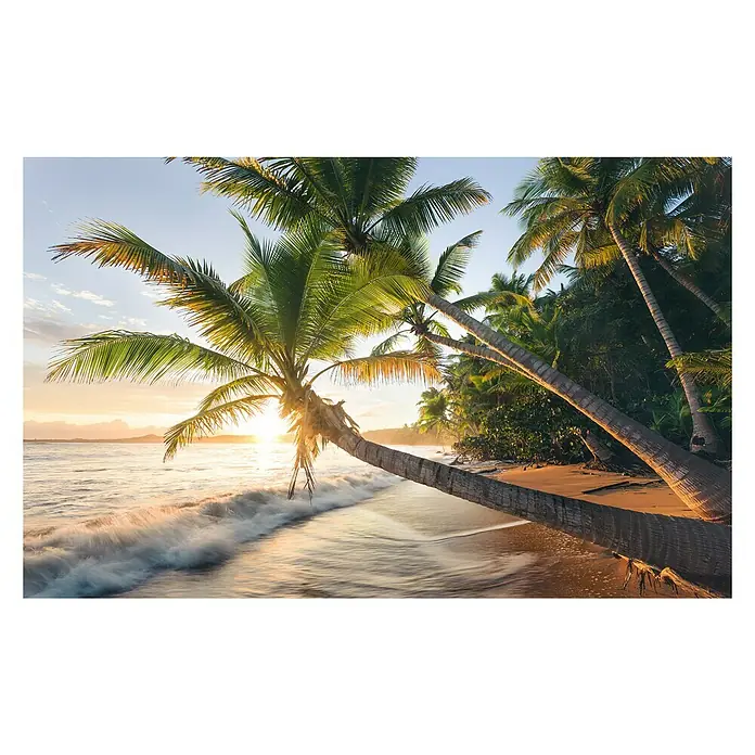 Komar Stefan Hefele Edition 2 Fototapete Strandgeheimnis - 9 -tlg., B x H: 450 x 280 cm, Vlies - Ein wunderschöner Strand mit Palmen und Sonnenuntergang. Das Wasser ist klar und die Atmosphäre entspannend.