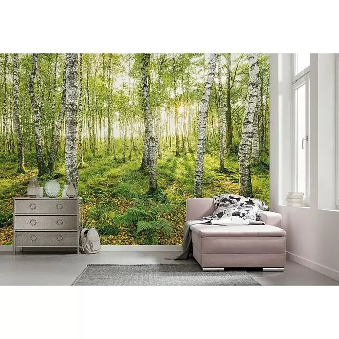 Komar Stefan Hefele Edition 1 Fototapete Birch Trees - 4 -tlg., B x H: 400 x 250 cm, Vlies - Stimmungsaufnahme