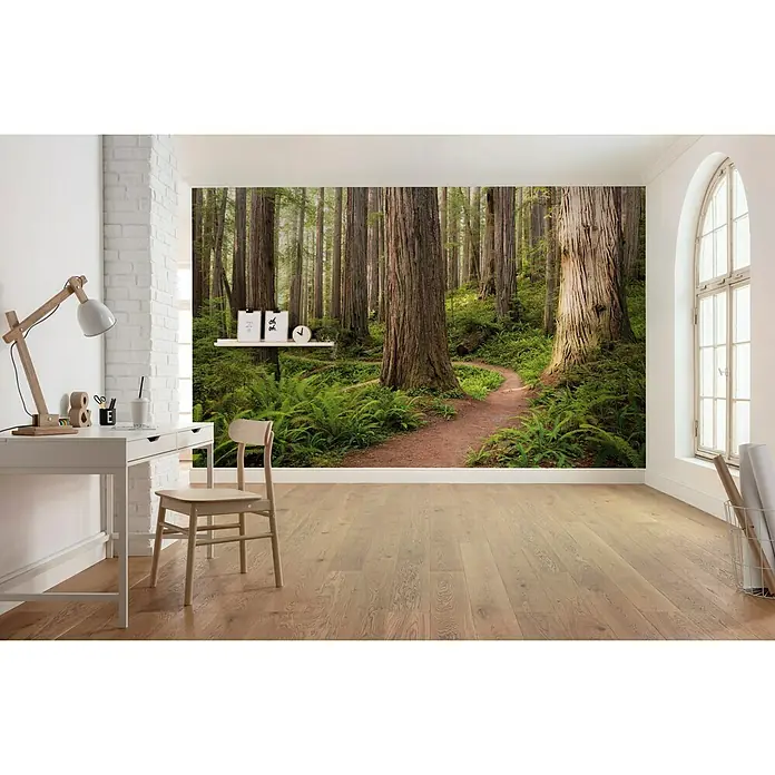 Komar Stefan Hefele Edition 2 Fototapete Redwood Trail - 9 -tlg., B x H: 450 x 280 cm, Vlies - Wandbild mit Waldmotiv, das ein Gefühl von Natur in den Raum bringt. Ideal für ein ruhiges Ambiente und zur Dekoration des Arbeitsbereichs.