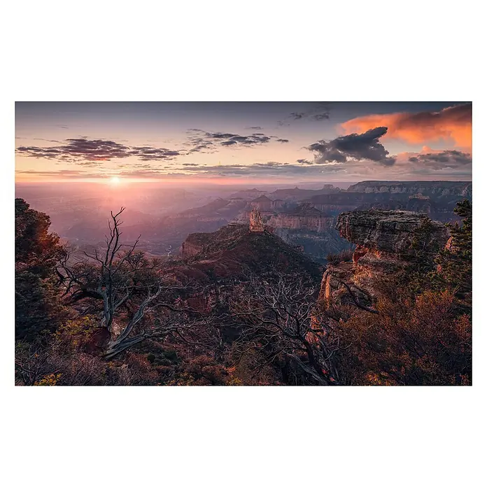 Komar Stefan Hefele Edition 2 Fototapete Grand View - 9 -tlg., B x H: 450 x 280 cm, Vlies - Grand Canyon bei Sonnenaufgang. Farbenprächtige Naturaufnahme mit Felsen, Bäumen und dem sanften Licht der aufgehenden Sonne.