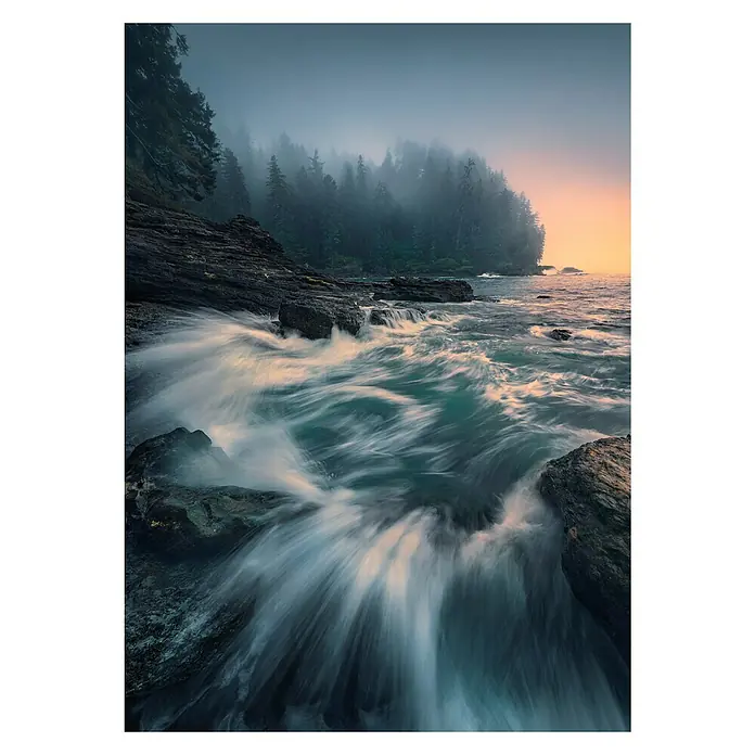 Komar Stefan Hefele Edition 2 Fototapete Cry of the Sea - 4 -tlg., B x H: 200 x 280 cm, Vlies - Mystische Küstenlandschaft mit fließendem Wasser und Bäumen, die in Nebel gehüllt sind, für eine ruhige und erhabene Atmosphäre.