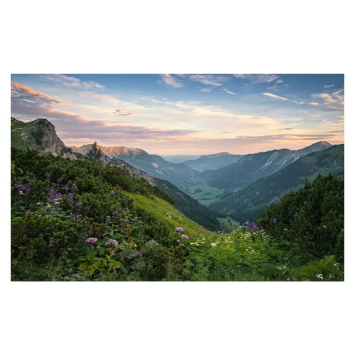 Komar Stefan Hefele Edition 2 Fototapete Naturpark Allgäuer Hochalpen - 9 -tlg., B x H: 450 x 280 cm, Vlies - Berglandschaft mit üppiger Vegetation im Vordergrund und malerischem Talblick bei Sonnenuntergang. Die Farben sind sanft und einladend.