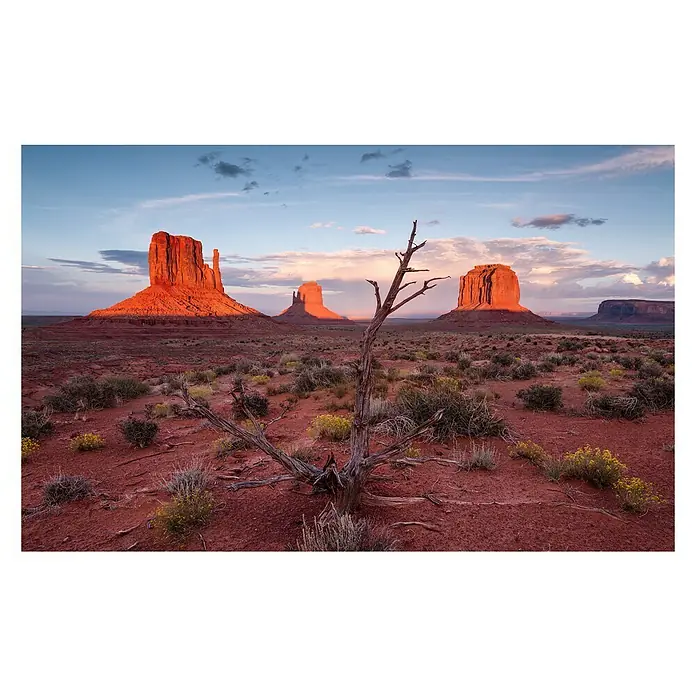 Komar Stefan Hefele Edition 2 Fototapete Wild West Heroes - 9 -tlg., B x H: 450 x 280 cm, Vlies - Monument Valley-Landschaft mit rotem Felsen und trockenem Baum bei Sonnenuntergang, die die raue Schönheit der Natur hervorhebt.