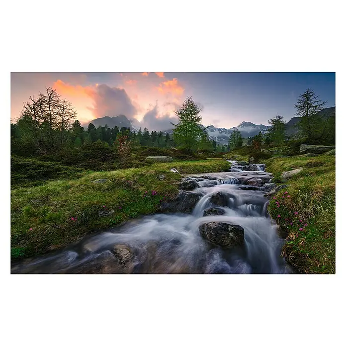 Komar Stefan Hefele Edition 2 Fototapete Wild Paradise - 9 -tlg., B x H: 450 x 280 cm, Vlies - Malerische Landschaft mit einem Bachlauf, umgeben von grüner Vegetation und Bergen im Hintergrund.