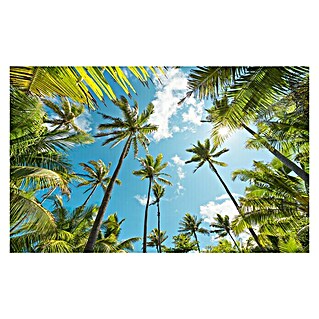 Komar Stefan Hefele Edition 2 Fototapete Coconut Heaven (9 -tlg., B x H: 450 x 280 cm, Vlies)