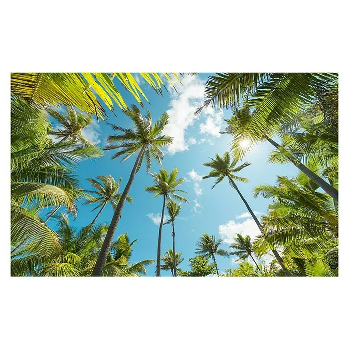 Komar Stefan Hefele Edition 2 Fototapete Coconut Heaven - 9 -tlg., B x H: 450 x 280 cm, Vlies - Blick nach oben durch Palmenblätter auf einen strahlend blauen Himmel mit vereinzelten Wolken. Sonnenlicht bricht durch das dichte Grün.