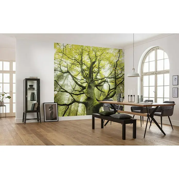 Komar Stefan Hefele Edition 2 Fototapete Der Traumbaum - 9 -tlg., B x H: 450 x 280 cm, Vlies - Wandbild "Baum" im Esszimmer, das eine natürliche und beruhigende Atmosphäre schafft. Das Baum-Motiv bringt die Natur ins Haus und ist ein echter Hingucker.