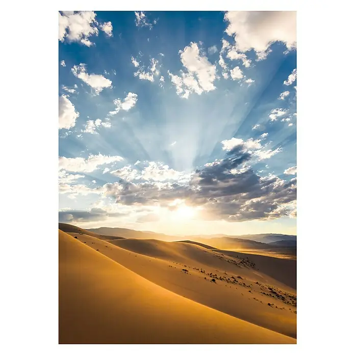 Komar Stefan Hefele Edition 2 Fototapete Wüstenmagie - 4 -tlg., B x H: 200 x 280 cm, Vlies - Blick auf eine goldene Dünenlandschaft bei Sonnenuntergang, die von einem strahlend blauen Himmel und dramatischen Wolkenformationen gekrönt wird.