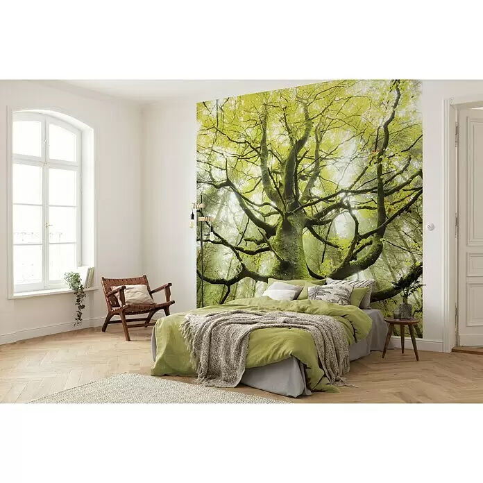 Komar Stefan Hefele Edition 2 Fototapete Der Traumbaum - 6 -tlg., B x H: 300 x 280 cm, Vlies - Stimmungsaufnahme